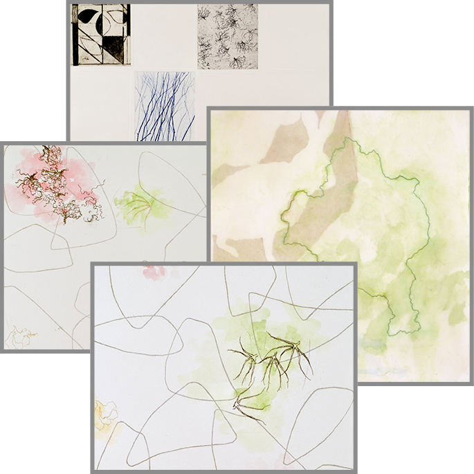 Flora-Movement-in-Plants