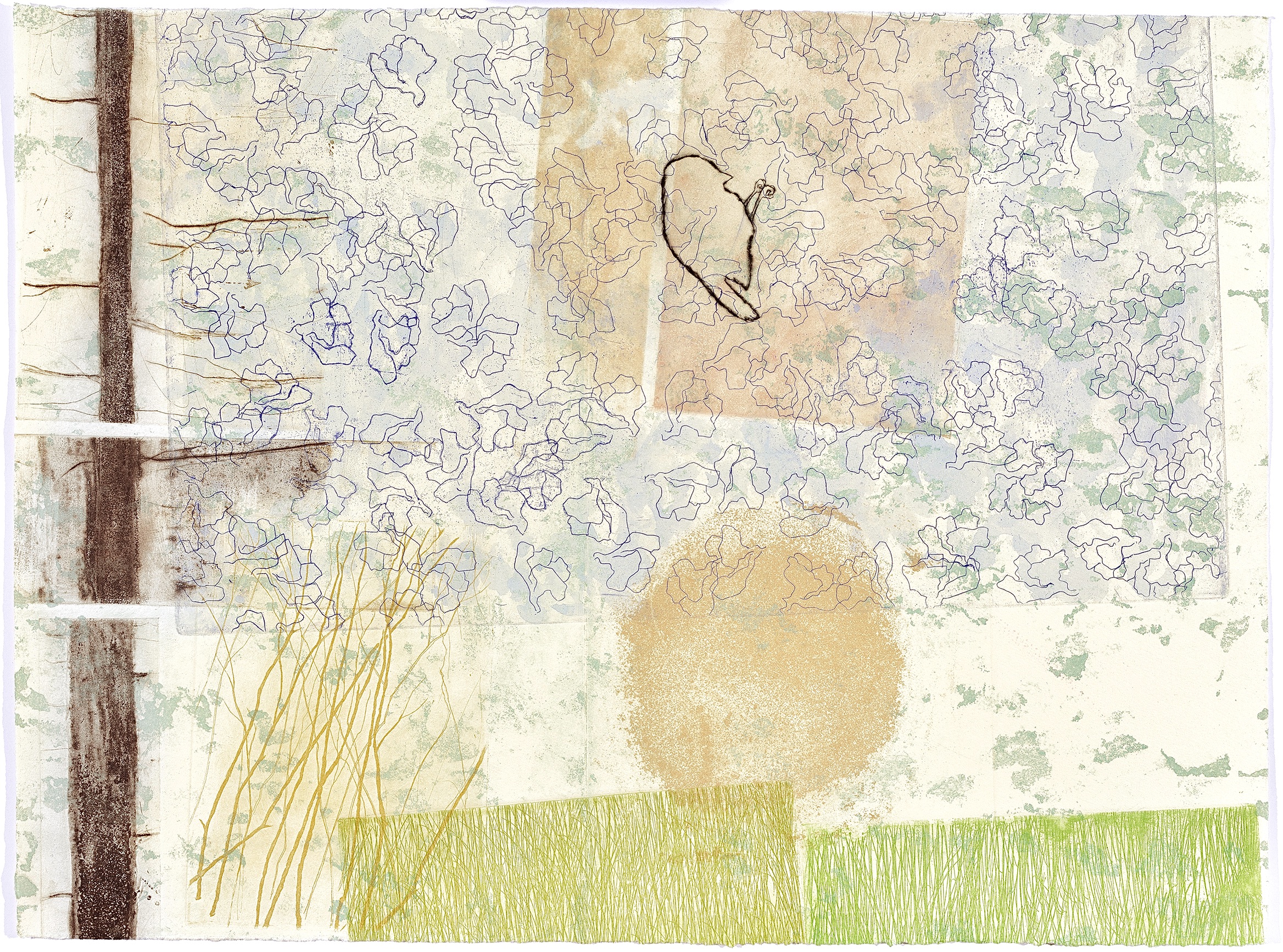 A Sense of the Mysterious (odd orbits)