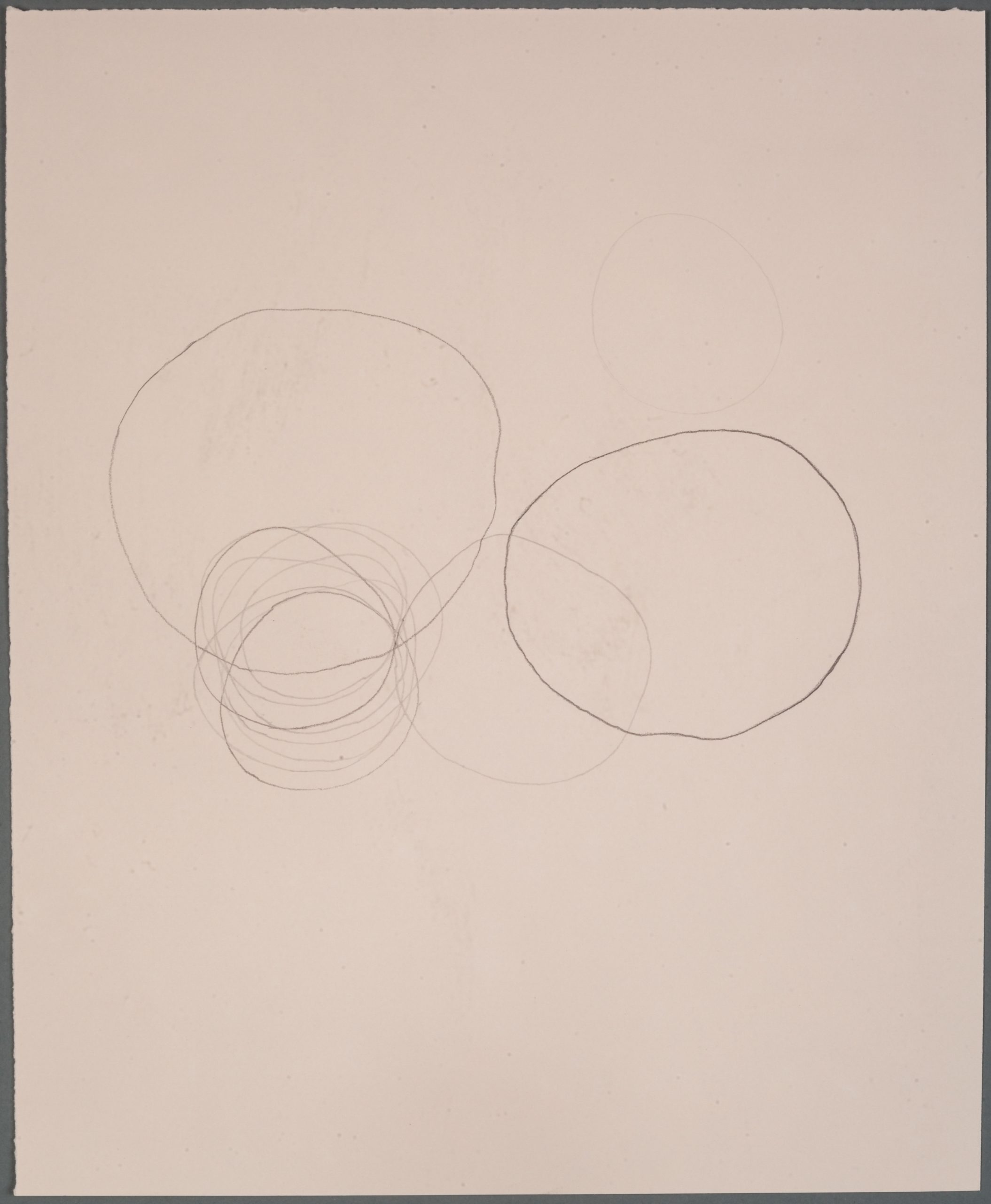 nothingness is alive with possibilities, 2019