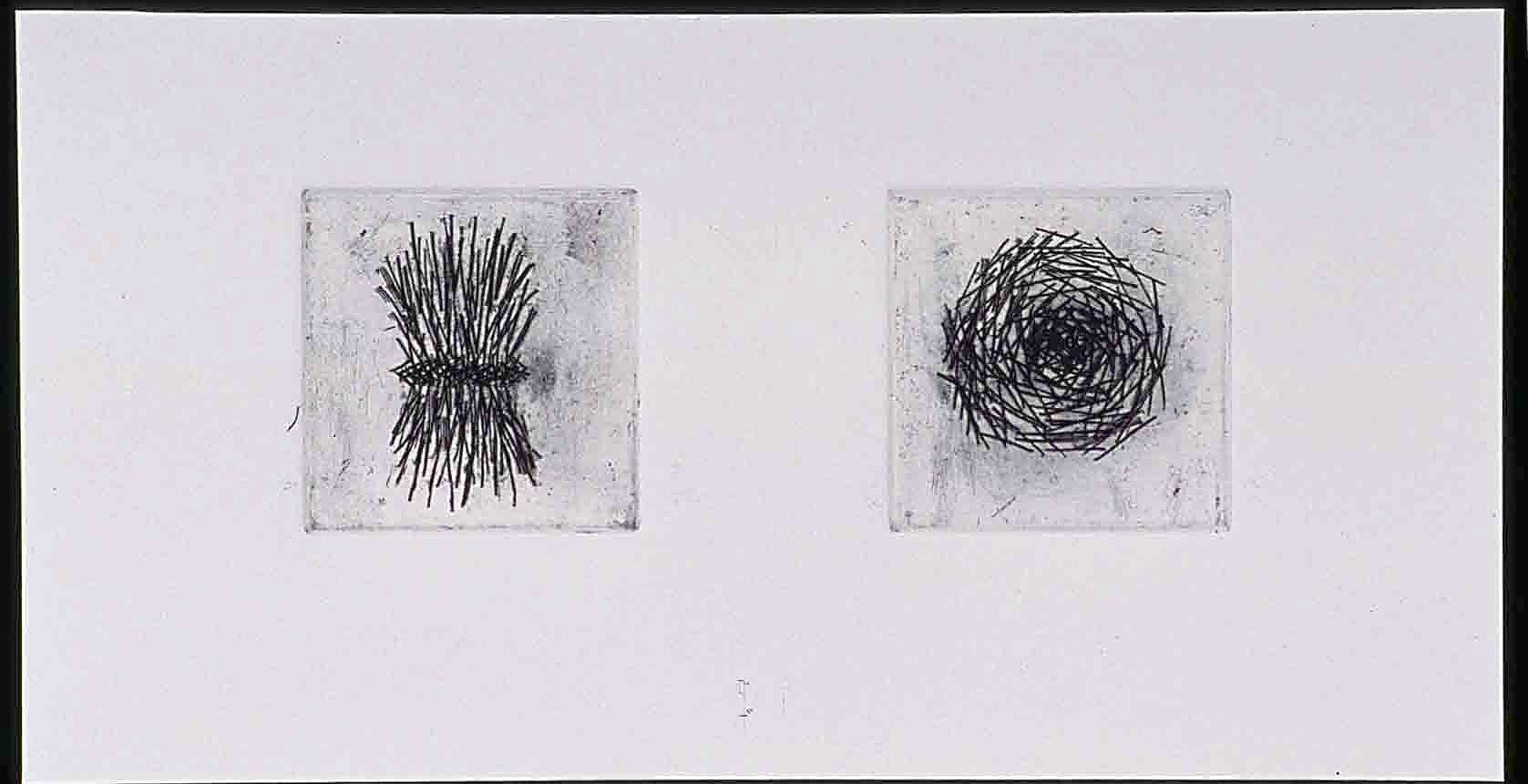 self organizing lines bundled baled