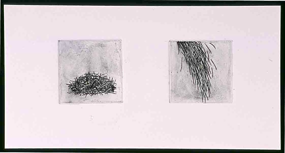 self organizing lines piled poured